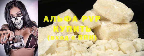 стаф Алзамай