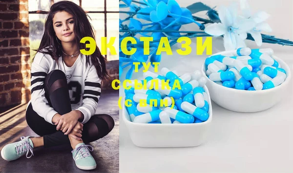 стаф Алзамай