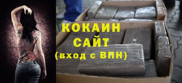 стаф Алзамай