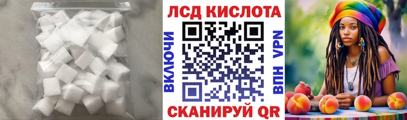 как найти   Новокубанск  ЛСД экстази кислота 