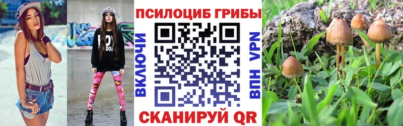 Галлюциногенные грибы мухоморы  где можно купить   Новокубанск 